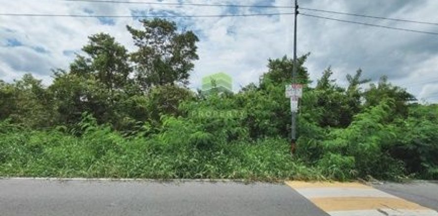 Terrain à Pathum Thani, Thaïlande 4800 m2 № 156492