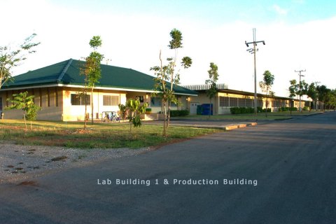 Land in Rayong, Thailand 46400 sq.m. № 169164 - photo 5