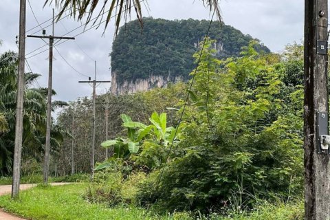 Земельный участок в Краби, Таиланд  № 155783 - фото 3