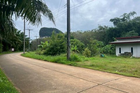 Земельный участок в Краби, Таиланд  № 155783 - фото 4