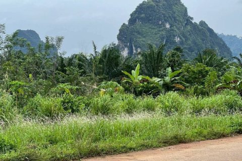 Земельный участок в Краби, Таиланд  № 155783 - фото 1