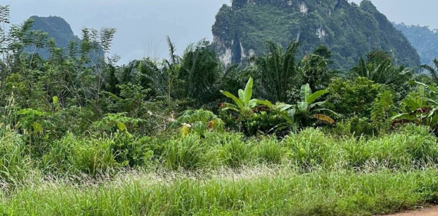 Земельный участок в Краби, Таиланд  № 155783