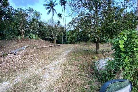 Terrain à Ko Samui, Thaïlande 5360 m2 № 155855 - photo 1