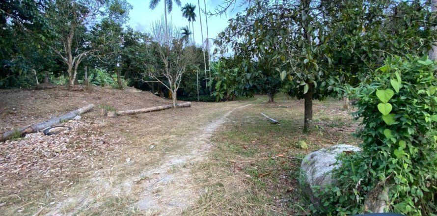 Terrain à Ko Samui, Thaïlande 5360 m2 № 155855