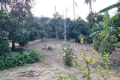 Terrain à Ko Samui, Thaïlande 5360 m2 № 155855 - photo 2