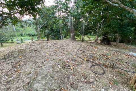 Terrain à Ko Samui, Thaïlande 5360 m2 № 155855 - photo 3