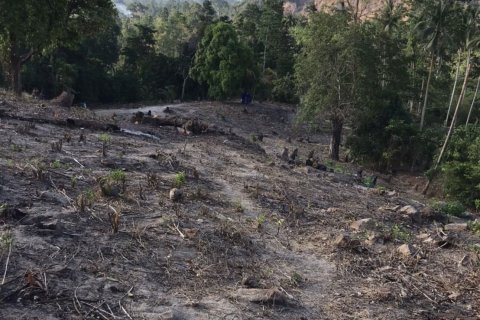 Terrain à Ko Samui, Thaïlande 5360 m2 № 155855 - photo 5