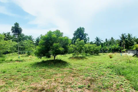 Warehouse in Klaeng, Thailand № 169431 - photo 2