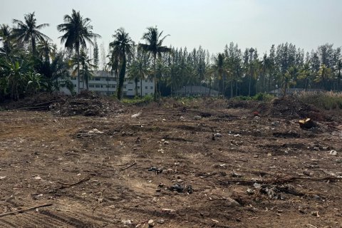 Terrain à Phang Nga, Thaïlande 55384 m2 № 141064 - photo 9