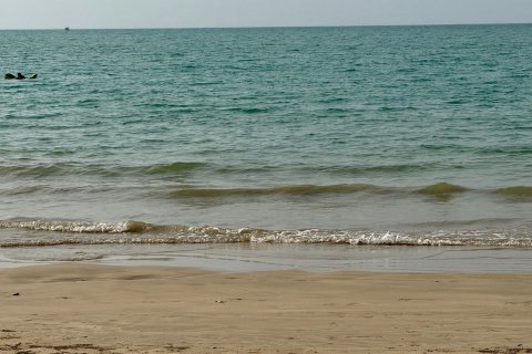 Terrain à Phang Nga, Thaïlande 55384 m2 № 141064 - photo 17