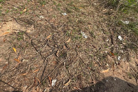 Terrain à Phang Nga, Thaïlande 55384 m2 № 141064 - photo 18