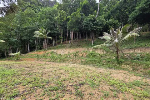 Земельный участок в Краби, Таиланд 70400м2  № 167777 - фото 13