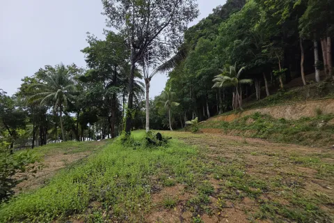 Земельный участок в Краби, Таиланд 70400м2  № 167777 - фото 14