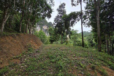 Земельный участок в Краби, Таиланд 70400м2  № 167777 - фото 2