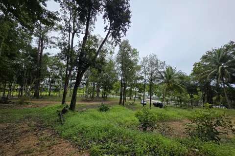 Земельный участок в Краби, Таиланд 70400м2  № 167777 - фото 16