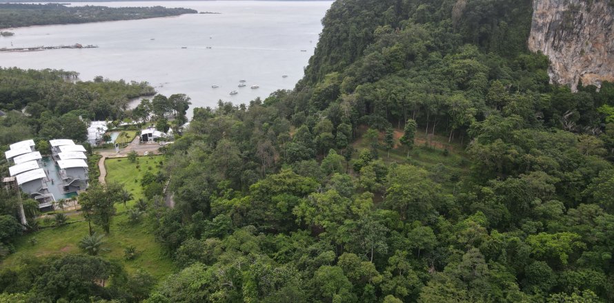 Земельный участок в Краби, Таиланд 70400м2  № 167777