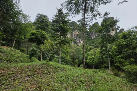 Земельный участок в Краби, Таиланд 70400м2  № 167777 - фото 6