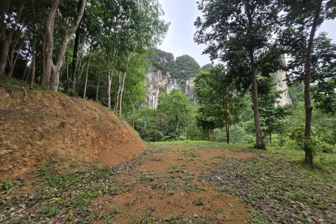 Земельный участок в Краби, Таиланд 70400м2  № 167777 - фото 4
