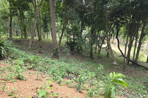 Земельный участок в Краби, Таиланд 70400м2  № 167777 - фото 3