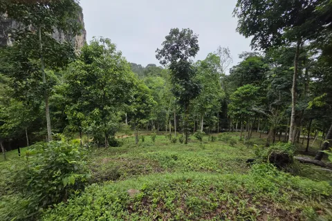 Земельный участок в Краби, Таиланд 70400м2  № 167777 - фото 11