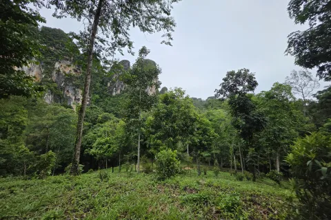 Земельный участок в Краби, Таиланд 70400м2  № 167777 - фото 7