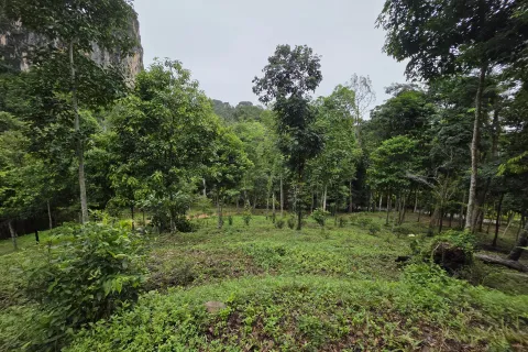 Земельный участок в Краби, Таиланд 70400м2  № 167777 - фото 12