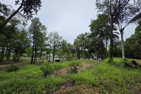 Земельный участок в Краби, Таиланд 70400м2  № 167777 - фото 15