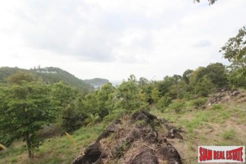 ที่ดินในสุราษฎร์ธานี, ประเทศไทย 12800 ตร.ม. № 202490 - รูปถ่าย 4