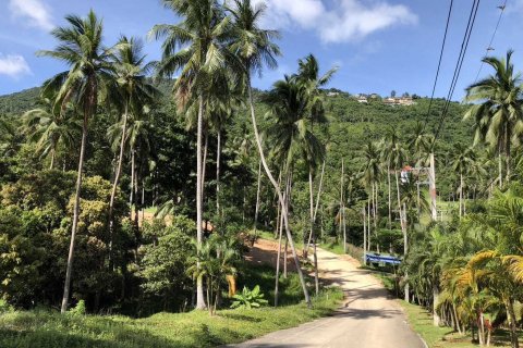 Land in Ko Samui, Thailand 2852 sq.m. № 140160 - photo 2