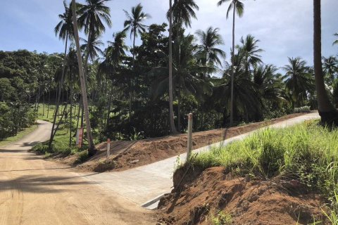 Land in Ko Samui, Thailand 2852 sq.m. № 140160 - photo 3