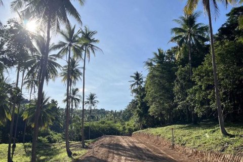 Land in Ko Samui, Thailand 2852 sq.m. № 140160 - photo 1