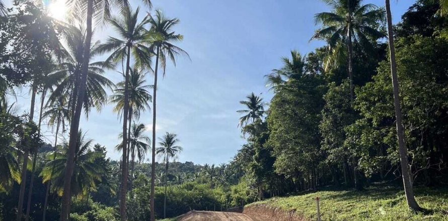 Land in Ko Samui, Thailand 2852 sq.m. № 140160