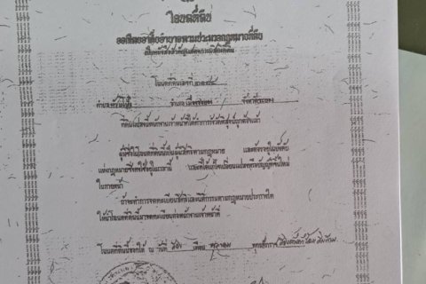 Земельный участок в Районге, Таиланд 136000м2  № 163143 - фото 8