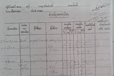 Земельный участок в Районге, Таиланд 136000м2  № 163143 - фото 9