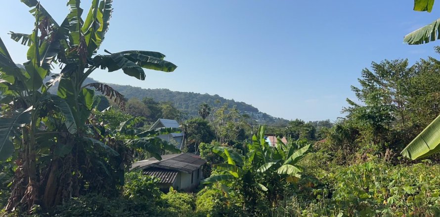 Земельный участок в Пхукете, Таиланд 5616.8м2  № 163145