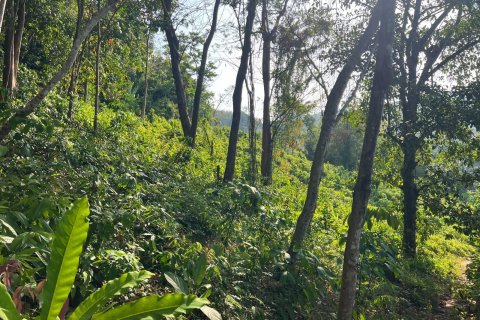 Земельный участок в Пхукете, Таиланд 5616.8м2  № 163145 - фото 4