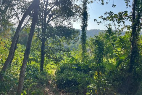 Земельный участок в Пхукете, Таиланд 5616.8м2  № 163145 - фото 5