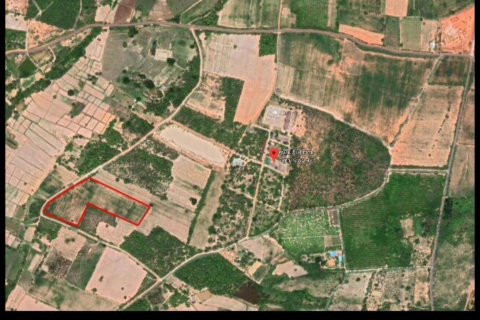 Terrain à Khon Kaen, Thaïlande 24000 m2 № 163147