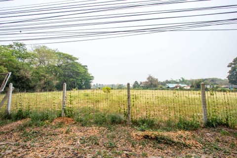 Земельный участок в Чиангмае, Таиланд 5м2  № 175568 - фото 8