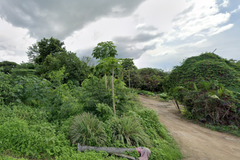 Земельный участок в Ханг Донге, Таиланд 40000м2  № 150107 - фото 4