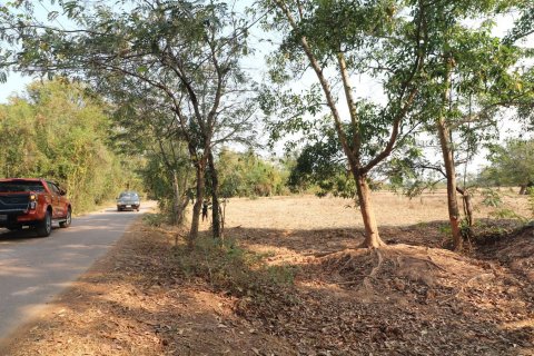 Land in Udon Thani, Thailand 33600 sq.m. № 150111 - photo 4