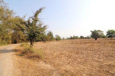 Land in Udon Thani, Thailand 33600 sq.m. № 150111 - photo 7