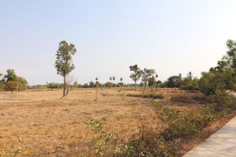 Land in Udon Thani, Thailand 33600 sq.m. № 150111 - photo 2