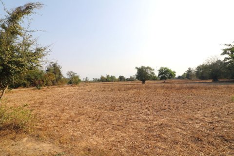 Land in Udon Thani, Thailand 33600 sq.m. № 150111 - photo 6