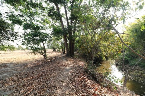Land in Udon Thani, Thailand 33600 sq.m. № 150111 - photo 10