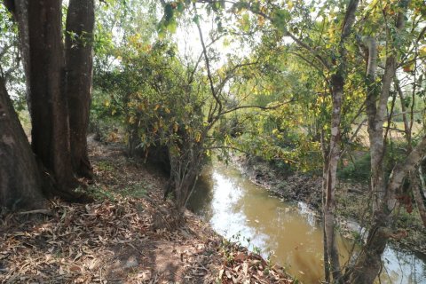 Land in Udon Thani, Thailand 33600 sq.m. № 150111 - photo 11