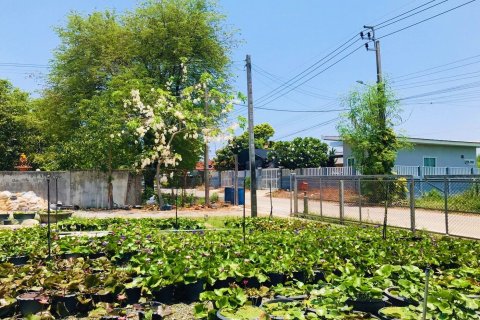 Terrain à Bang Yai, Thaïlande 14400 m2 № 169561 - photo 6