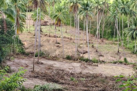 Земельный участок в Самуи, Таиланд 36800м2  № 170552