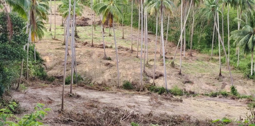 Земельный участок в Самуи, Таиланд 36800м2  № 170552