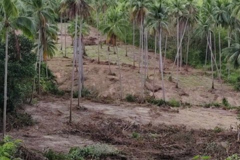 Земельный участок в Самуи, Таиланд 36800м2  № 170552 - фото 4